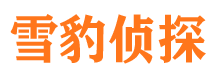 临河市婚姻出轨调查